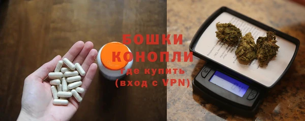 стаф Магадан