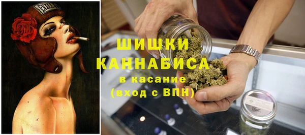 стаф Магадан