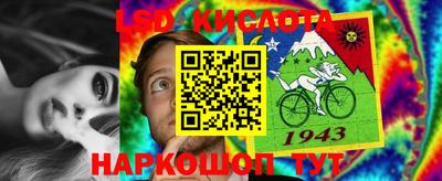 эйфоретик Донецк