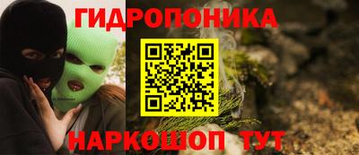 Альфа ПВП Обь