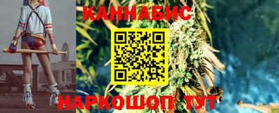 крисы Аргун