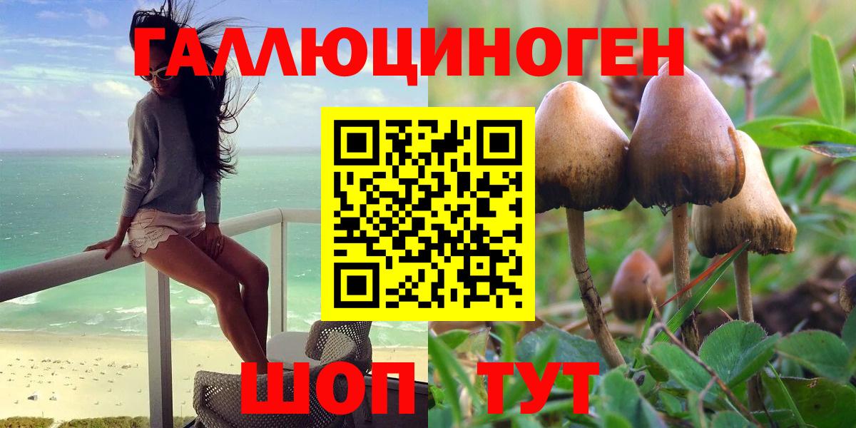 Нурлат  наркотики  Вход с VPN  Псилоцибиновые грибы MAGIC MUSHROOMS 