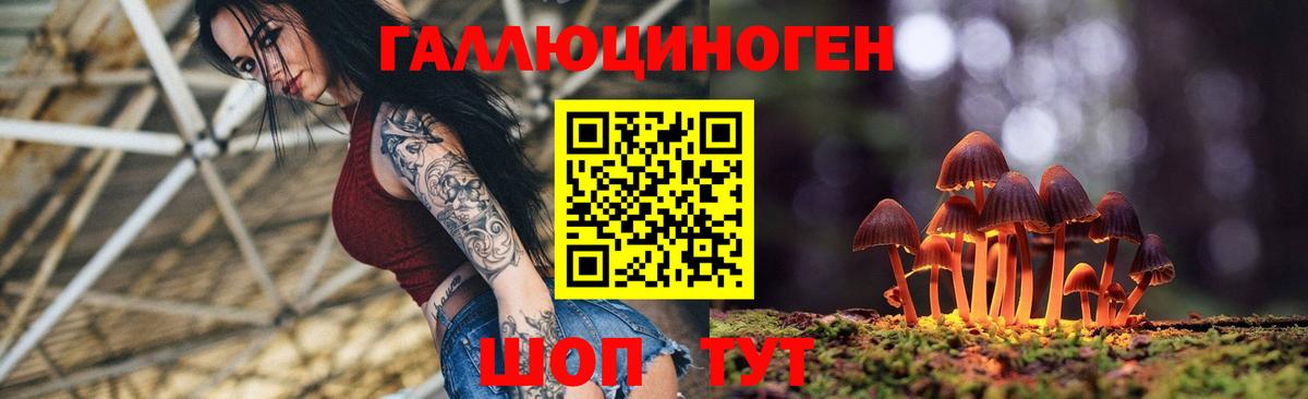 Псилоцибиновые грибы Cubensis Нурлат