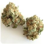 Шишки "White Widow"  (Белая вдова)  Гидропоника -  Бошка VHQ в Нурлате